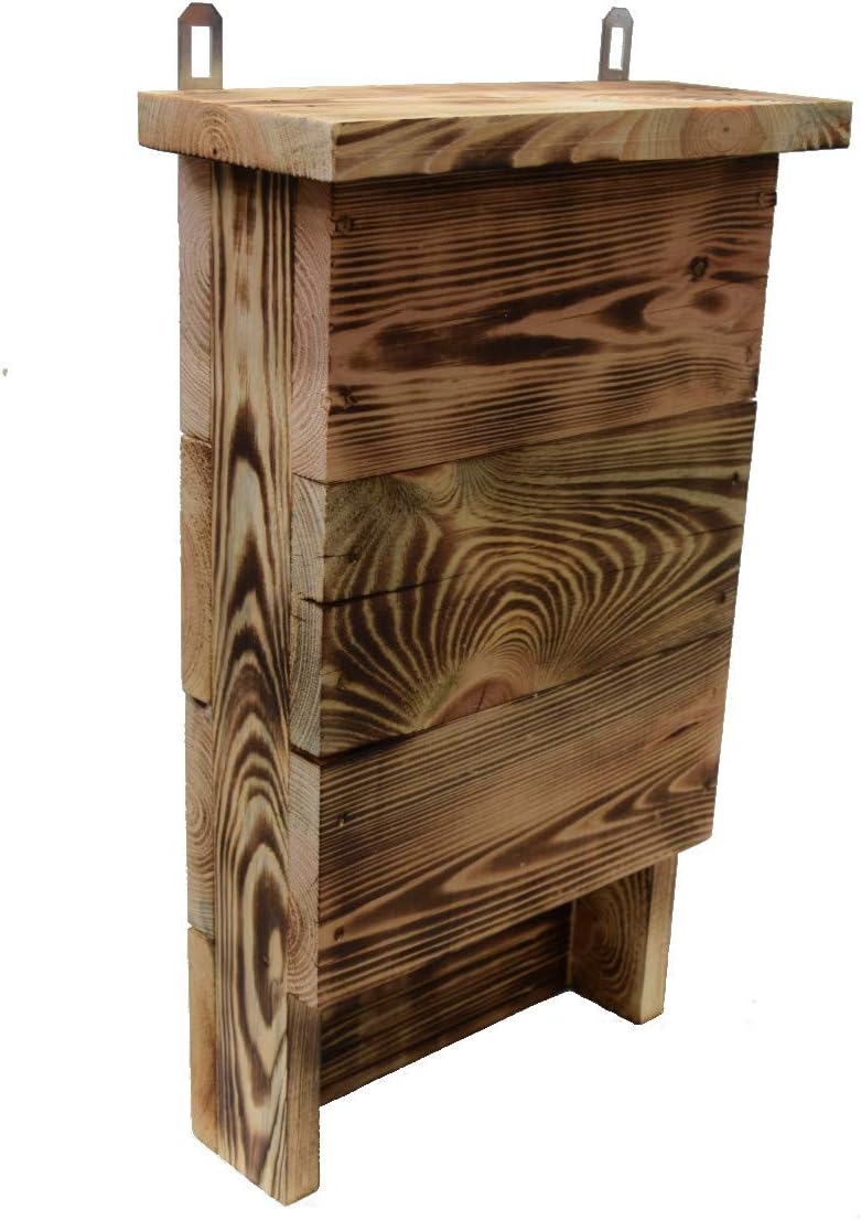 World Of Flowers Caja de murciélagos - Madera carbonizada: Amazon.es: Jardín