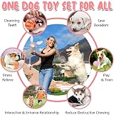 Speedy Panther 10Pcs Dog Toys Set Small Dogs Squeaky Plush Teething Rope Ball view 2