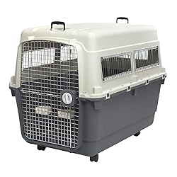 SportPet Designs Plastic Kennels Rolling Plastic