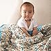 Bernat Baby Blanket Yarn - (6) Super Bulky Gauge - 3.5oz - Dove - Single Ball Machine Wash & Dry