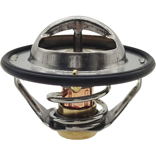 Amazon.com: Thermostat 5256423 3973834 5292708 3974823 4929642 for 