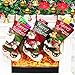 HQQNUO Christmas Stocking Xmas Stocking 18