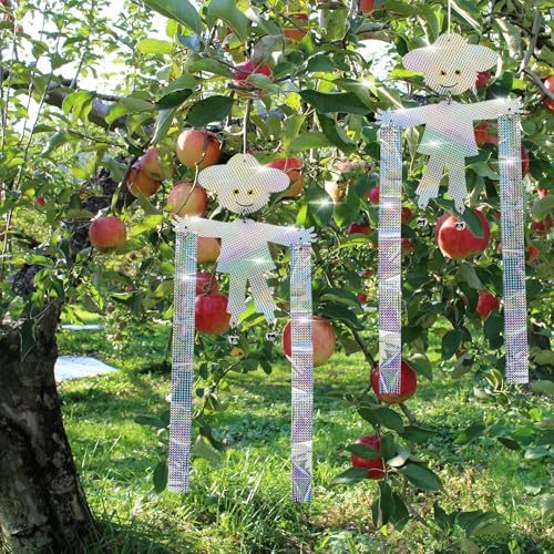 Reflective Scarecrow Keep Bird Away, Bird Scare Device, Hanging Reflector Board to Scare Pigeons Woodpecker Hawks Away, Outdoors Reflective Keep Birds Away from Patio, Windows, Balcony, Orchard, 2Pcs