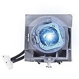 RLC-108 Replacement Lamp Bulb with Housing Fits for