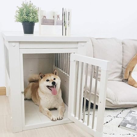 amazon indoor dog house