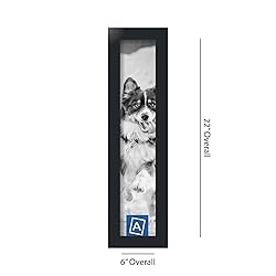 ArtToFrames 4x20 Inch Black Picture Frame, This