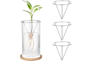 Yylaiire 4 Pcs Avocado Tree Growing Kits, Avocado Seed Holder Triangular Metal Bracket, Seed Starter Rack, Propagation Vases for Home Office, Gardening Lovers Gift (Silver)