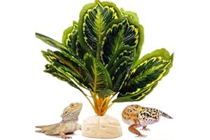FLmoving Reptile Decor Plants,Amphibian Habitat Decor,Artificial Plants for Bearded DragonTank Accessories Suitable for Leopard Gecko Lizard Chameleon Snake Tortoise (Calathea makoyana -A)