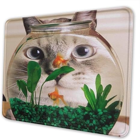 Amazon Co Jp 魚が食べたい猫 マウスパッド ゲーム競技専用のコンピューターパッド アニメ 新品 カスタム増厚さ サークルの プレゼント 作業絵画はリストバンドが必要 敷き物 18 22cm ホーム キッチン