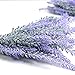 Aplstar 8pcs Artificial Lavender Bouquet in Purple Flowers DIY Floor Garden Office Bridal Home Wedding Decor