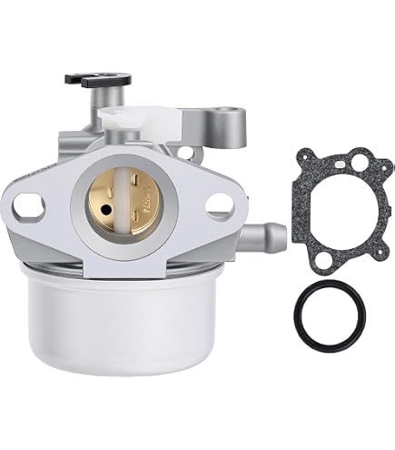 Amazon.com: Stens 616-586 Carburetor Compatible with/Replacement