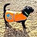 SafetyPUP XD Reflective Dog Vest. Hi-Visibility, Fluorescent Blaze Orange Dog Vest Helps Protect Your Best Friend. Safeguard Your PUP from Motorists & Hunting Accidents, On or Off Leash (Small)