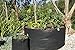 ECOgardener Grow Bags Square Foot Planter Raised Bed Fabric Pot - 12