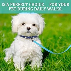 DOYOO 2 Pack Puppy Dog Leash Cat Leash, Strong and