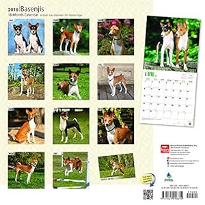 Basenjis 2018 12 x 12 Inch Monthly Square Wall Calendar, Animals Dog Breeds (Multilingual Edition)