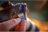 Sony 128GB SF-M Tough UHS-II U3 V60 SDXC Card SFM128T/T1 Read 277MB/s view 3