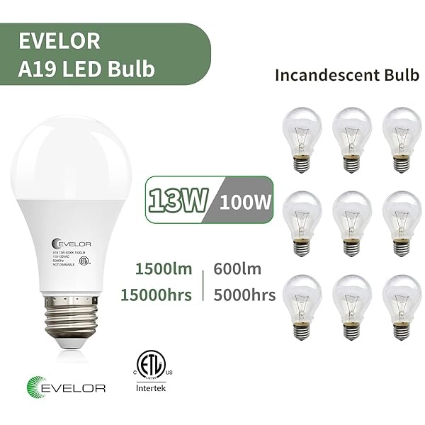 EVELOR A19 LED LIGHT BULBS,100 WATT EQUIVALENT DAYLIGHT 5000K EFFICIENT 13W,1500 LUMENS E26 BASE, NON-DIMMABLE, 15000-HOUR LIFESPAN FOR BEDROOM, LIVING ROOM, OFFICE, 6-PACKS