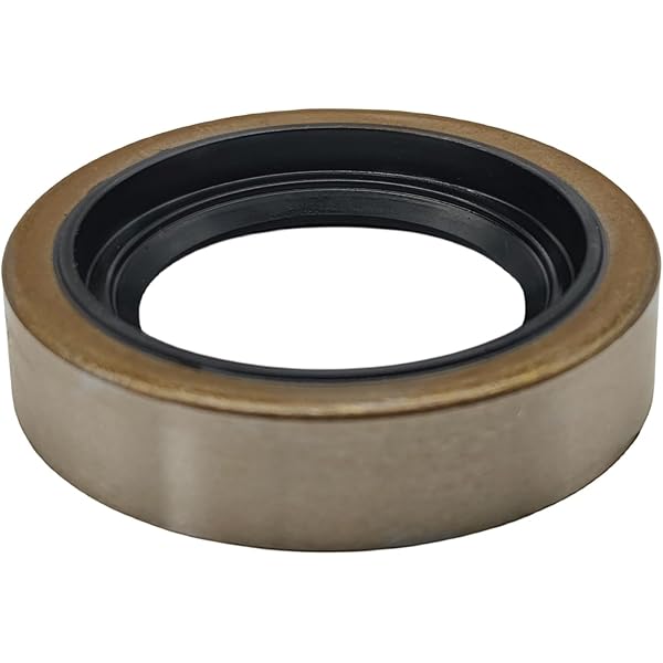 Amazon.com: OEM Piaggio Engine Motor Viton Oil Seal Ring Gasket  