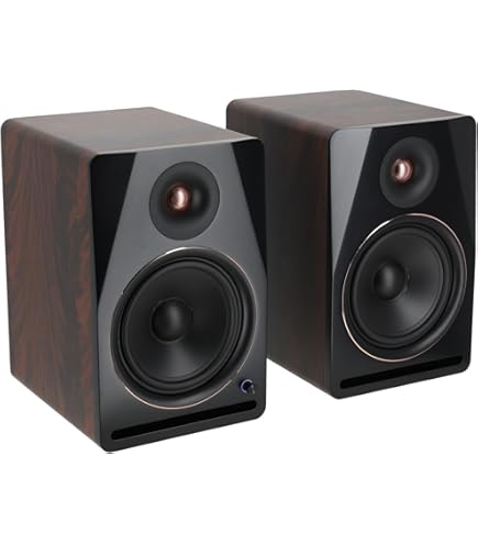 Amazon.com: Rockville APM8D 8