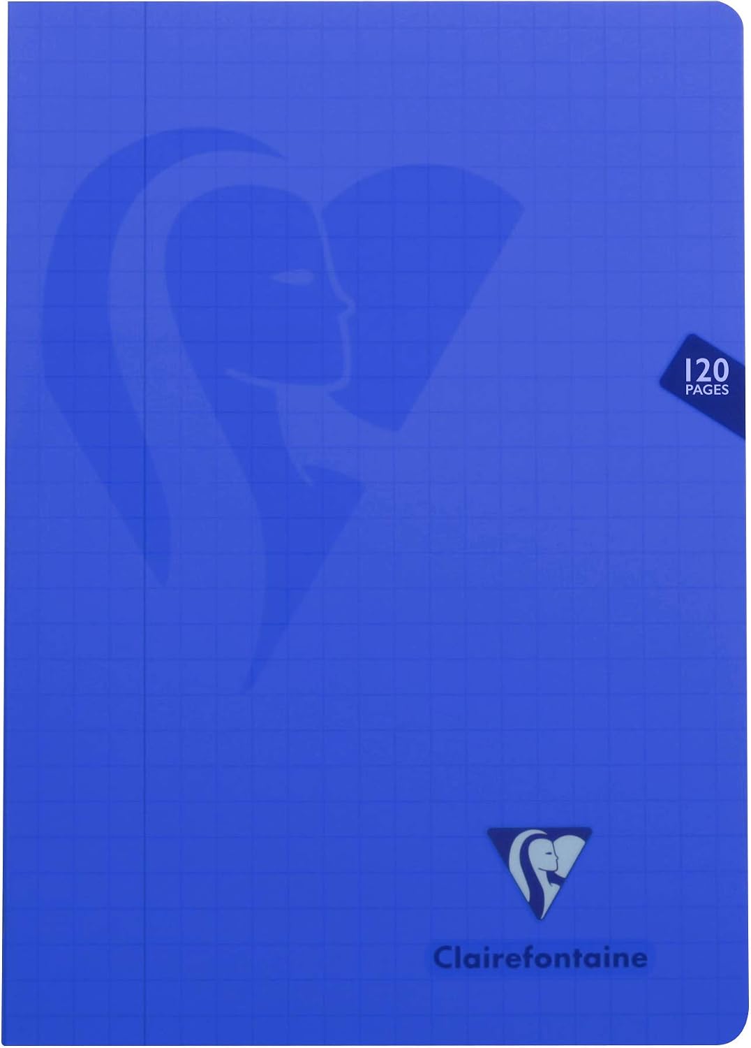 Clairefontaine 303510C Set of 10 Mimesys Stapled Notebooks, A4 21x29.7cm, 120 Quadruled 10x10 w/ Margin, White Paper 90g