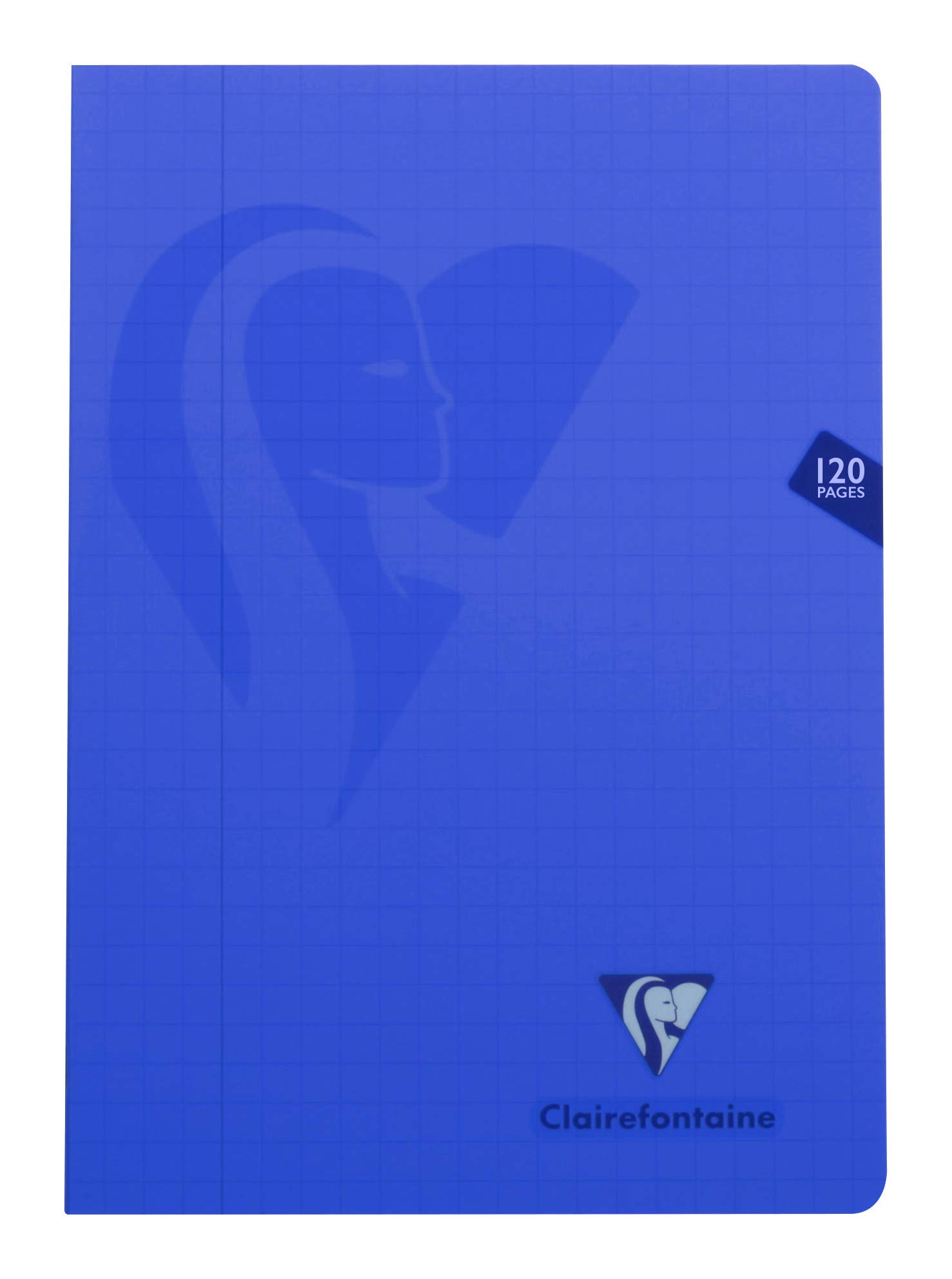 Clairefontaine 303510C Set of 10 Mimesys Stapled Notebooks - A4 21x29.7cm - 120 Quadruled 10x10 w/ Margin - White Paper 90g - Transparent Cover Random Colours