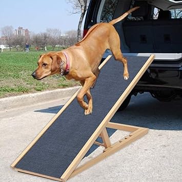dog ramp for caravan