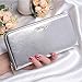 Aitbags Silver Glitter Designer Plus Slim Wallets Purses for Fashion Women and Beautiful Teen Girls