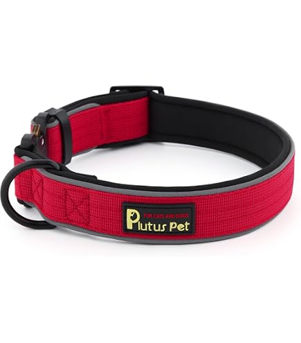 ALBCORP Reflective Service Dog Collar - Durable Nylon With Rubber Patch - Multiple Sizes