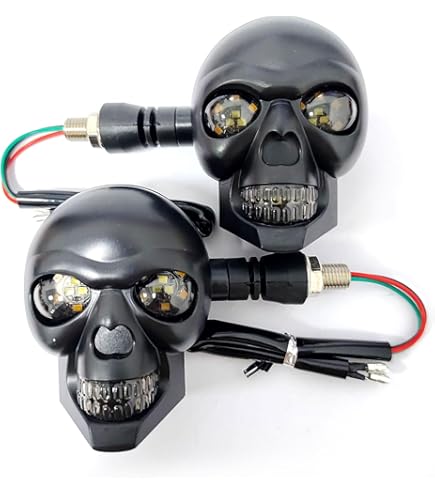 Amazon.com: Genuine OEM For Kawasaki LAMP-ASSY-SIGNALFRR 23037