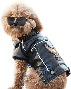 big dog motorcycle jacket