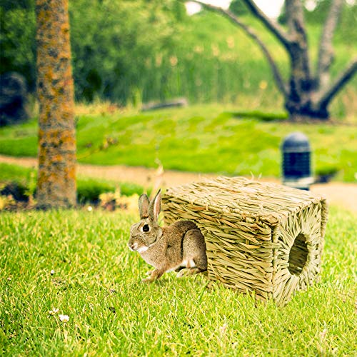Grashaus-Grasmatten-Set, 1+2 Stück Faltendes Strohhaus mit 2 Grasmatten, Nagerhaus Heuhaus - Natürliches Kleintier zubehör für Kaninchen, Hasen, Meerschweinchen, Hamster und andere Kleintiere (XL)