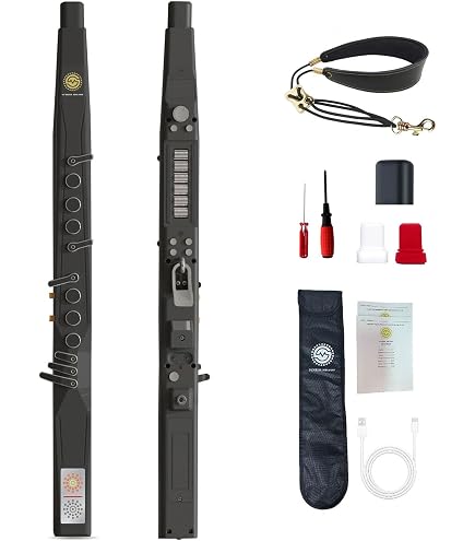 Amazon.com: Roland AE-05 Aerophone Go Digital Wind Instrument