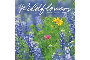 Wildflowers 2025 12" x 12" Wall Calendar