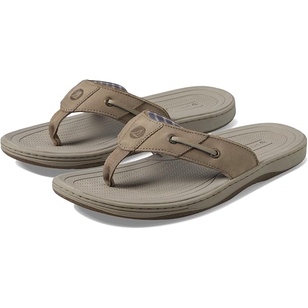 Amazon.com | Sperry Men display picture 1