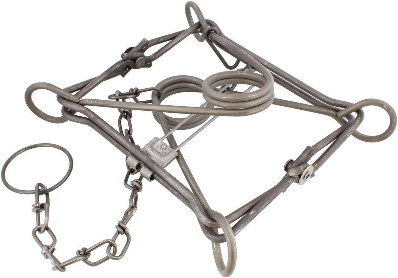 Redneck Convent Body Grip Trap, no. 220 Double Spring Trap – Large Animal Trap Body Trap – Hunting Traps, Medium Game Traps