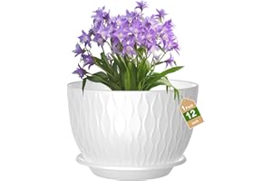 GDJUQZ 12 inch Large Plant Pots, Flower Pots with Multi-Mesh Drainage Holes and Saucer, Plastic Planters for Indoor and Outdoor Garden Plants (White, 12")