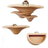 2 Pack Jumping Spider Accessories Mushroom Ledges &amp; 1 Pack Water Bowl with Magnets for Spoods Jumping Spiders Magnetic Ledge Ladder Pet Spider Accessories (Not Included The Terrarium) (beige)