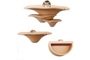 2 Pack Jumping Spider Accessories Mushroom Ledges & 1 Pack Water Bowl with Magnets for Spoods Jumping Spiders Magnetic Ledge 