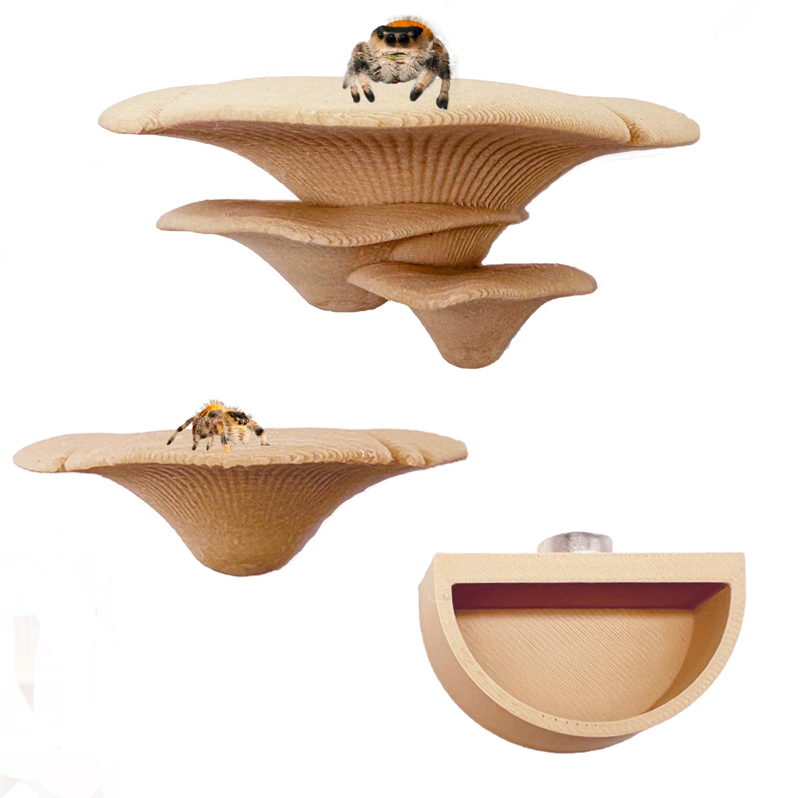 Photo 1 of 2 Pack Jumping Spider Accessories Mushroom Ledges & 1 Pack Water Bowl with Magnets for Spoods Jumping Spiders Magnetic Ledge Ladder Pet Spider Accessories (Not Included The Terrarium) (beige)