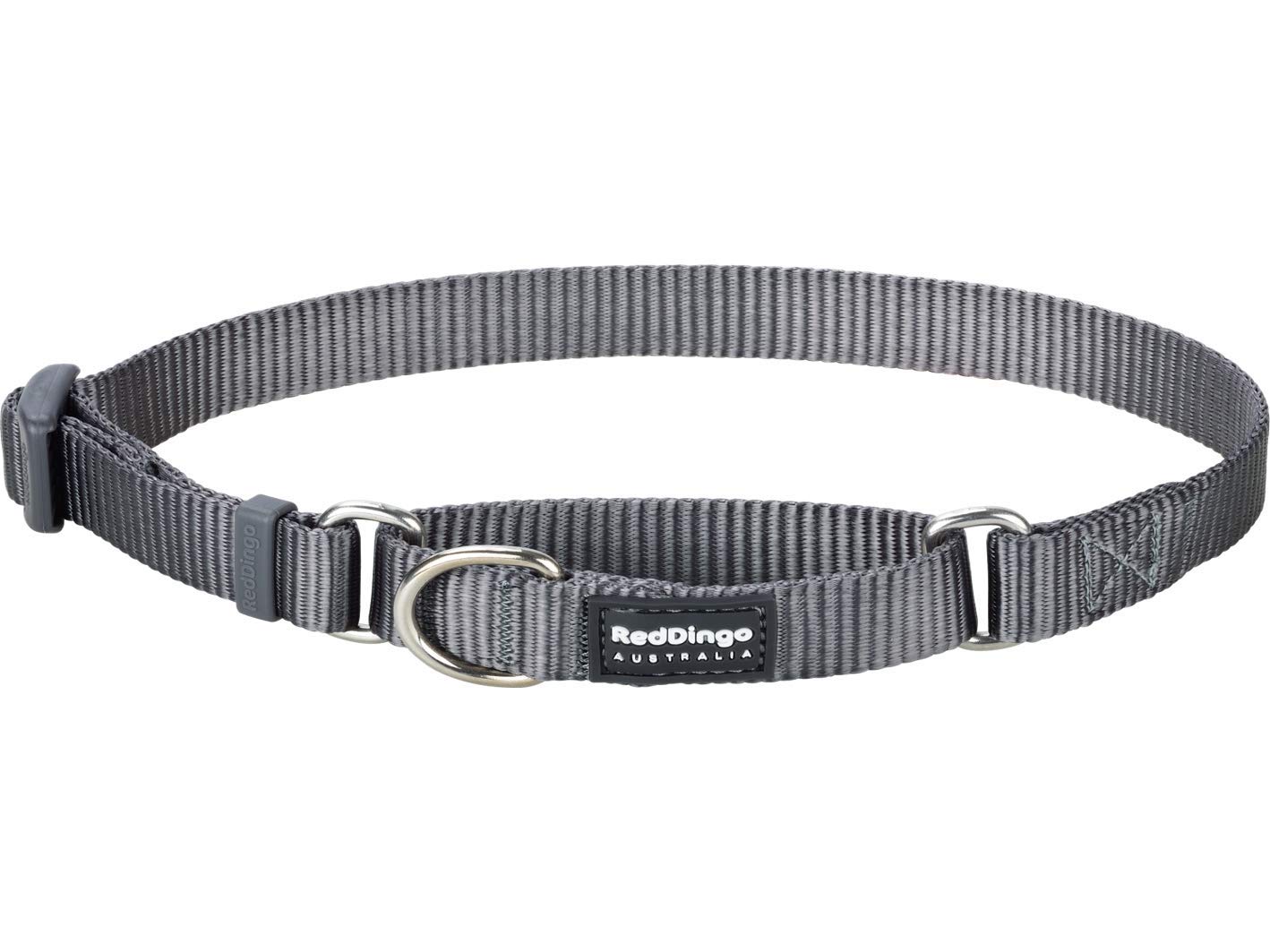 Red Dingo Plain Dog Martingale Collar, Cool Grey, Medium