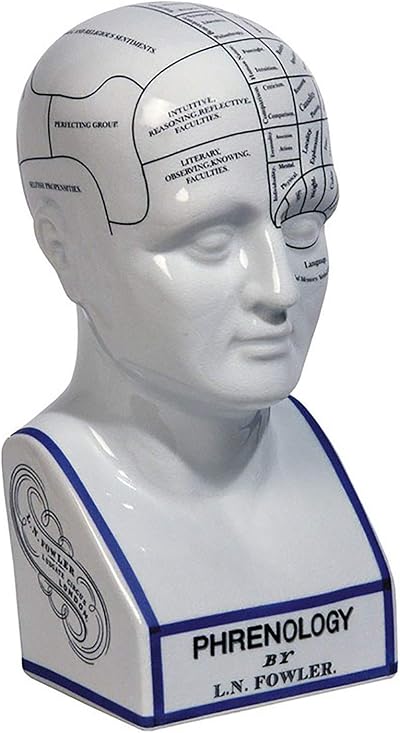 Authentic Models LN Fowler Large 12 Inch Porcelain Phrenology Head