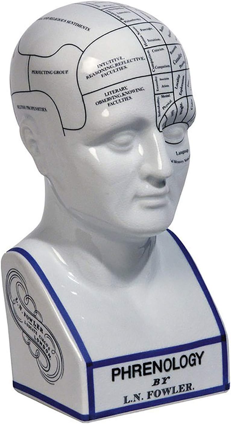 Authentic Models LN Fowler Large 12 Inch Porcelain Phrenology Head