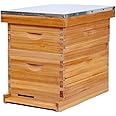 Honey Lake 8 Frame Complete Bee Hive Starter Kit for Beekeepers Dipped in 100% Beeswax Includes Deep Brood Box & Medium Super Bee Box with Beehive Frames and Waxed Foundation Sheet (2 Layer)
