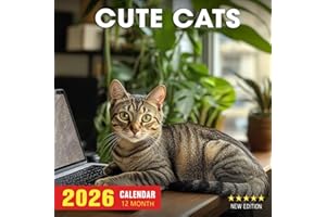 Cute Cats Calendar 2026: A year of adorable feline charm