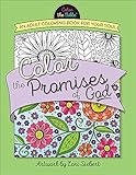Color the Promises of God: An Adult Coloring Book for Your Soul (Color the Bible®) by Lori Siebert