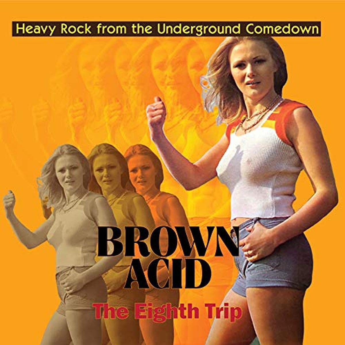 Brown Acid: The Eighth Trip [VINYL]