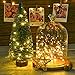 String Lights, DecorNova 2 Set of 19.7ft 60 LEDs IP44 Waterproof Super Bright Copper Wire Rope Lights with Timer for Home Bedroom Party Tree, 3AA Battery Case, Warm White