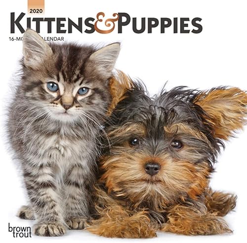 Download Kittens & Puppies 2020 Calendar PDF