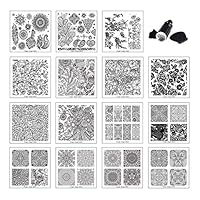 Beauty Leader 15 Pcs Stamping Nail Art Template Different Design Nail Art Stamping Plates 6 X 6 CM Nail Art Template + 1 Pcs Double Side Nail Art Stamper with Scrape Kit Manicure Nail Art Image Tool