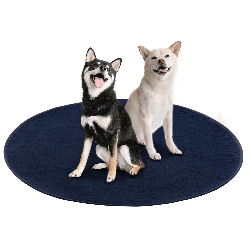 kooltail washable pee pads